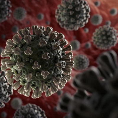 CORONAVIRUS: avril 2020